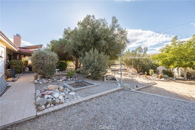 view of yard featuring a patio