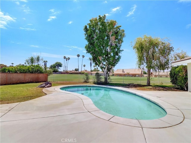 view of pool featuring a patio area and a lawn