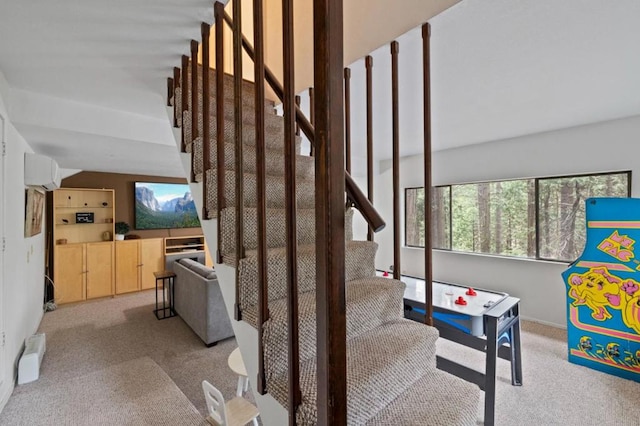 staircase featuring carpet floors