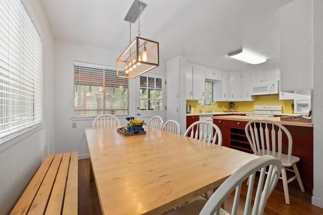 dining room with hardwood / wood-style flooring and a chandelier