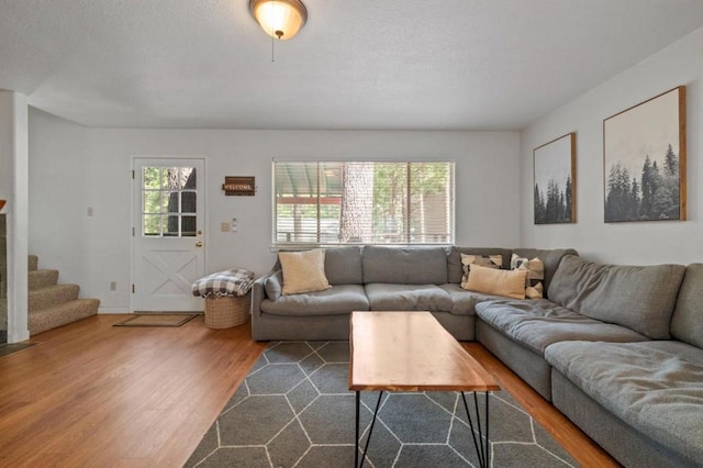 living room featuring dark hardwood / wood-style floors