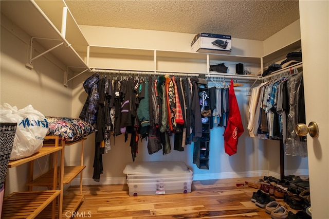 walk in closet featuring hardwood / wood-style flooring