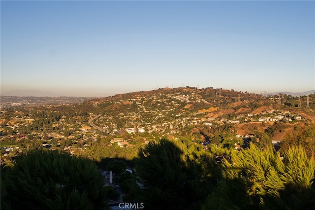 view of mountain feature