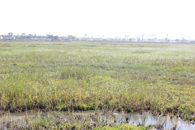 view of local wilderness featuring a rural view