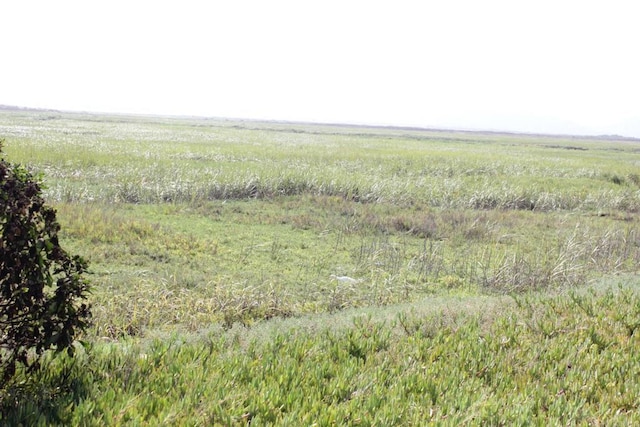 view of local wilderness featuring a rural view