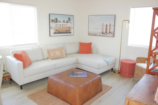 living room with light hardwood / wood-style floors