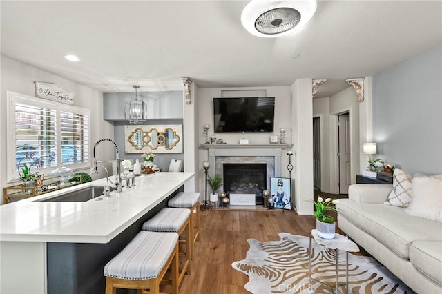 living room featuring sink, wood-type flooring, and a premium fireplace