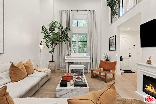 living room with a high ceiling and light hardwood / wood-style flooring