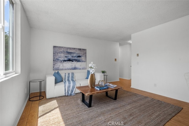 living room with a textured ceiling and hardwood / wood-style flooring