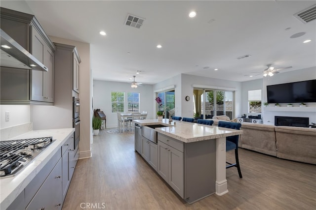 kitchen featuring a center island with sink, sink, ceiling fan, and plenty of natural light