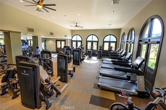 exercise room featuring carpet, ceiling fan, and plenty of natural light