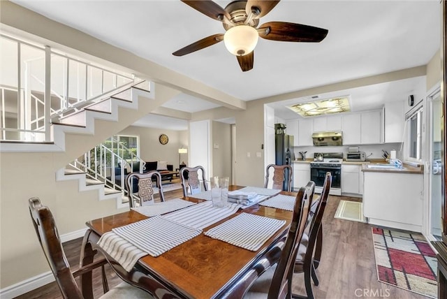 dining room featuring ceiling fan and dark wood-type flooring