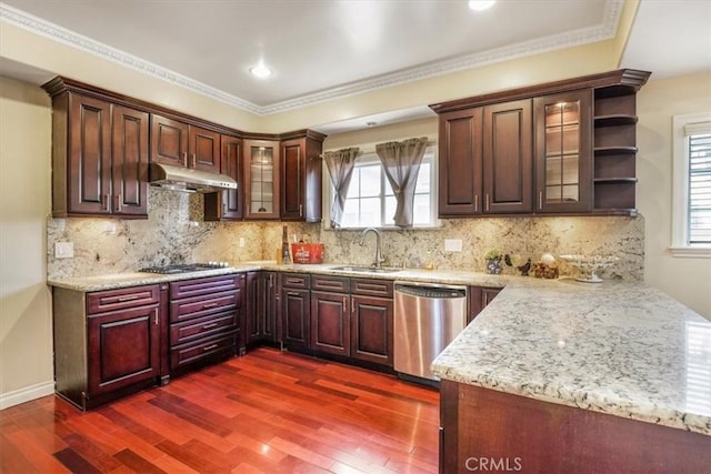 kitchen with sink, dark wood-type flooring, tasteful backsplash, appliances with stainless steel finishes, and ornamental molding