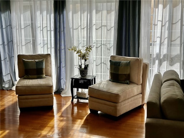 sitting room featuring wood-type flooring