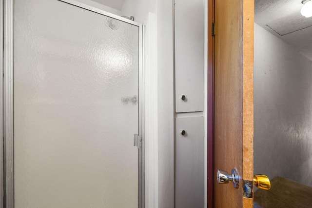 bathroom featuring a shower with door