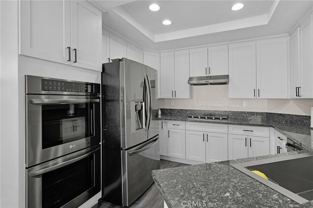 kitchen featuring appliances with stainless steel finishes, a tray ceiling, white cabinetry, and dark stone counters