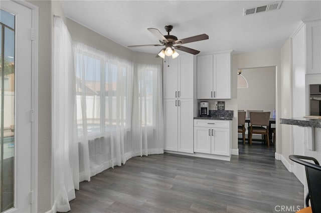 kitchen with white cabinets, hardwood / wood-style floors, a wealth of natural light, and ceiling fan