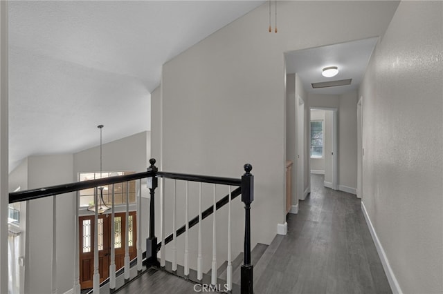 hall featuring dark wood-type flooring and lofted ceiling