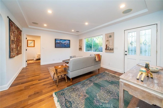 living room with hardwood / wood-style flooring and a tray ceiling