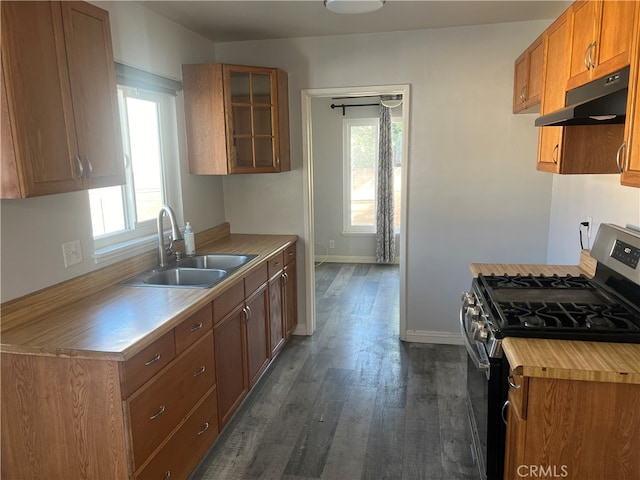 kitchen with stainless steel gas stove, sink, dark hardwood / wood-style flooring, and a healthy amount of sunlight