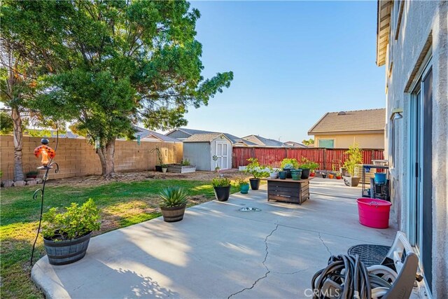 view of patio / terrace featuring a shed