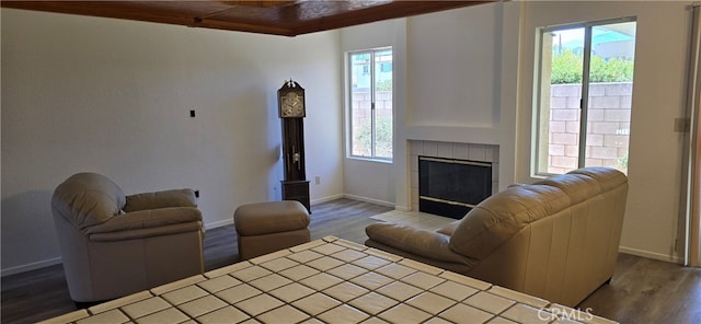 living room featuring wood-type flooring and a fireplace