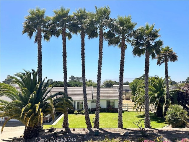 view of front of house with a front yard