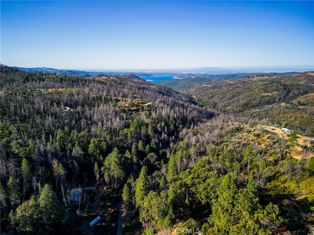 253 Bald Rock Rd, Berry Creek CA, 95916 land for sale