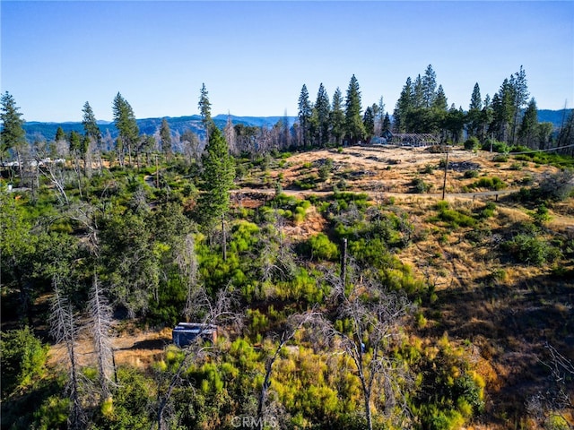 Listing photo 3 for 253 Bald Rock Rd, Berry Creek CA 95916