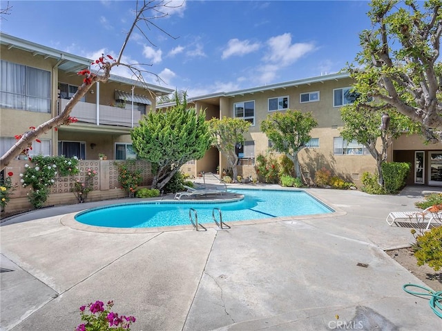 view of pool featuring a patio