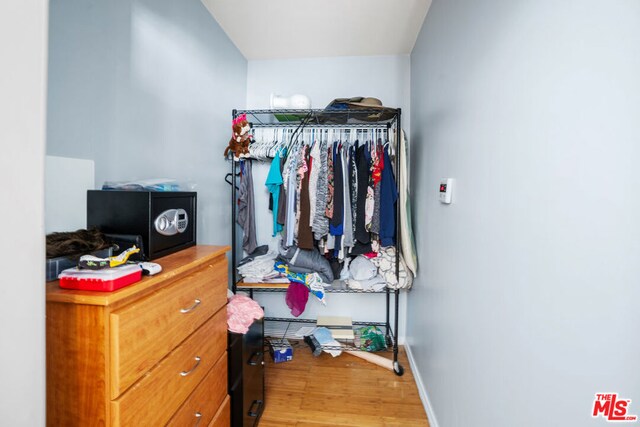 spacious closet featuring hardwood / wood-style flooring