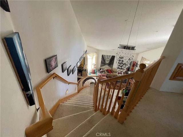 staircase featuring carpet floors