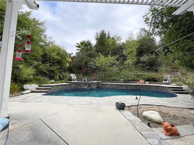 view of swimming pool with a patio