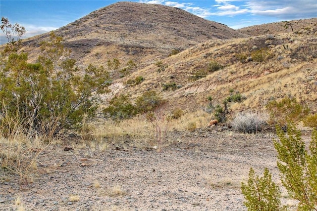 3029 Redding Dr, Yucca Valley, CA 92284