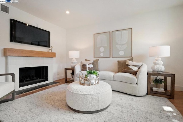 living room featuring wood-type flooring