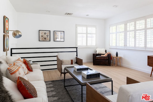 living room featuring hardwood / wood-style floors