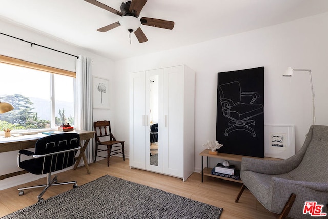 office with light hardwood / wood-style flooring and ceiling fan