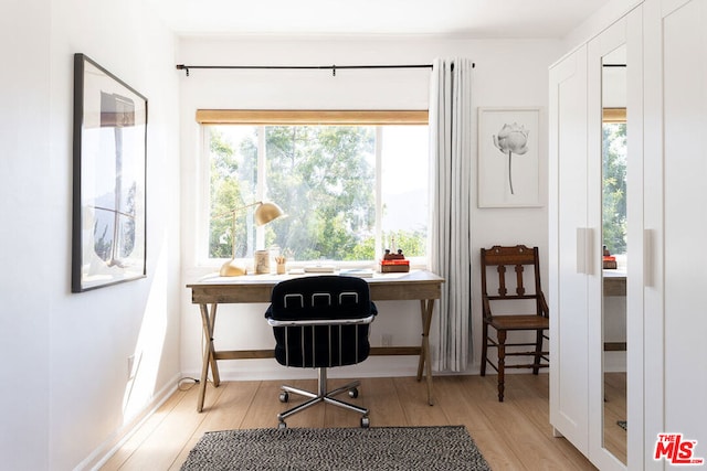 office with light wood-type flooring