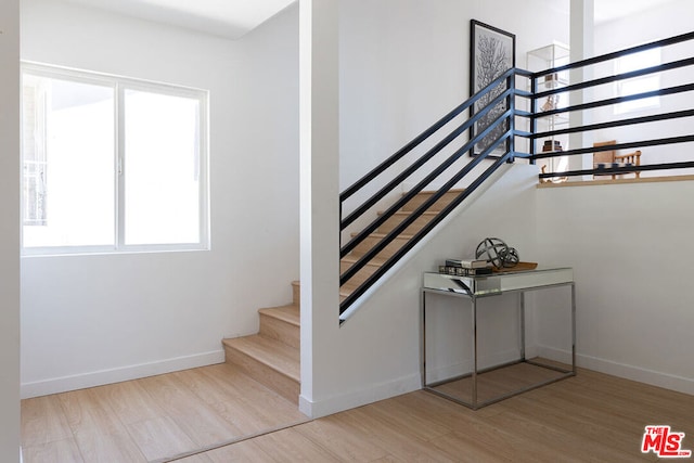 staircase with wood-type flooring