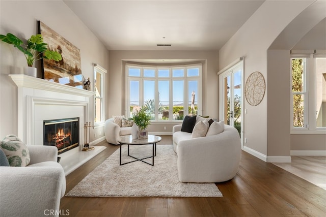 living room with dark wood-type flooring and plenty of natural light