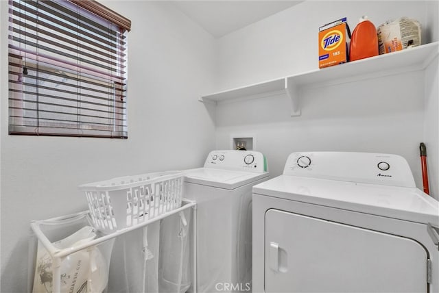 clothes washing area featuring independent washer and dryer