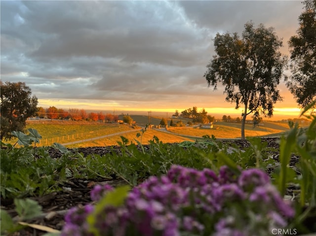 nature at dusk featuring a rural view