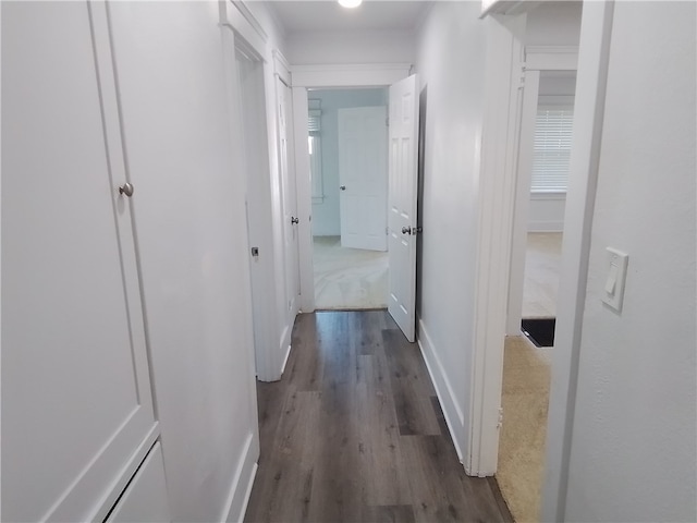 corridor featuring dark wood-type flooring