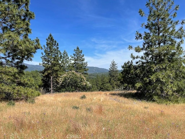 0 Triangle Rd, Mariposa, CA 95338 - photo 15