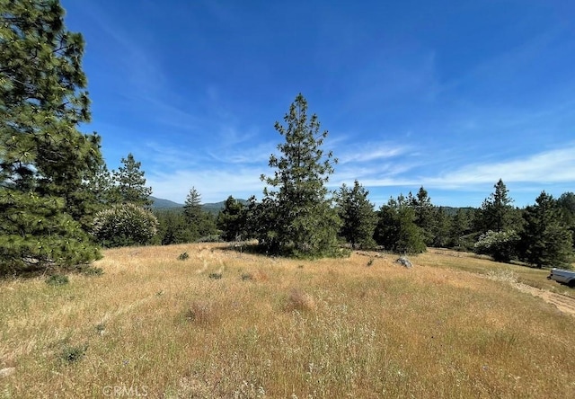 0 Triangle Rd, Mariposa, CA 95338 - photo 4