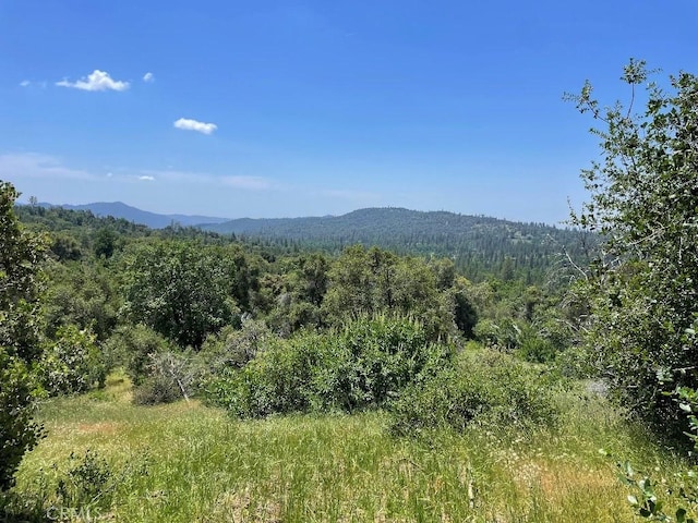 0 Triangle Rd, Mariposa, CA 95338 - photo 8