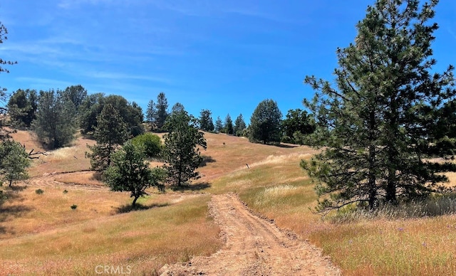 Listing photo 3 for 0 Triangle Rd, Mariposa CA 95338