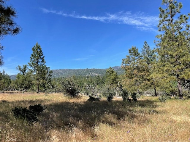 0 Triangle Rd, Mariposa, CA 95338 - photo 16