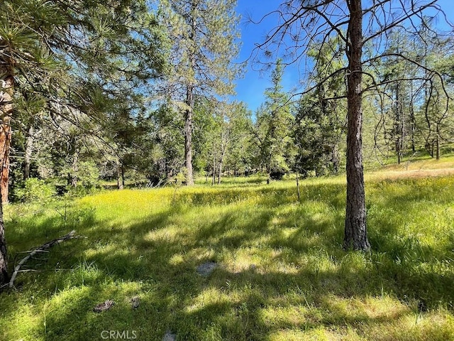 0 Triangle Rd, Mariposa, CA 95338 - photo 7