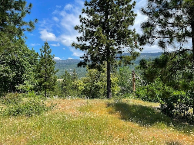 0 Triangle Rd, Mariposa CA, 95338 land for sale